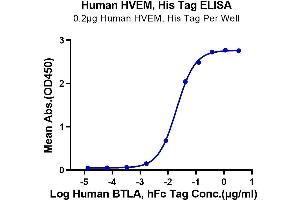 Immobilized Human HVEM, His Tag at 2 μg/mL (100 μL/Well) on the plate. (HVEM Protein (AA 39-202) (His tag))