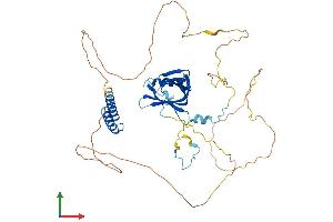 AlphaFold protein structure predicition of Human Recombinant NUP50 Protein, UniprotID Q9UKX7