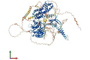 Protein Structure (PS) image for rho Guanine Nucleotide Exchange Factor (GEF) 10 (ARHGEF10) (AA 1-1345) protein (His tag) (ABIN7564480)