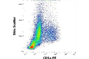 Flow cytometry surface staining pattern of human stimulated (GM-CSF + IL-4) peripheral blood monocytes stained using anti-human CD1a (HI149) PE antibody (20 μL reagent per milion cells in 100 μL of cell suspension). (CD1a antibody  (PE))