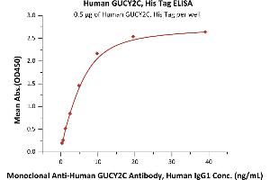 Immobilized Human GUCY2C, His Tag (ABIN6973087) at 5 μg/mL (100 μL/well) can bind Monoclonal A GUCY2C Antibody, Human IgG1 with a linear range of 0.