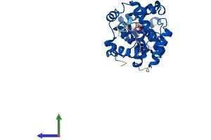 AlphaFold protein structure predicition of Mouse Recombinant Ccnc Protein, UniprotID Q62447 (Cyclin C Protein (CCNC) (AA 1-283) (His tag))
