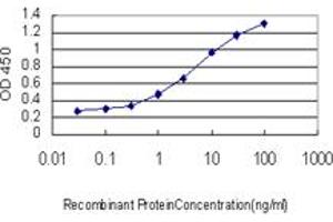 Detection limit for recombinant GST tagged MAPKAPK2 is approximately 0. (MAPKAP Kinase 2 antibody  (AA 302-400))