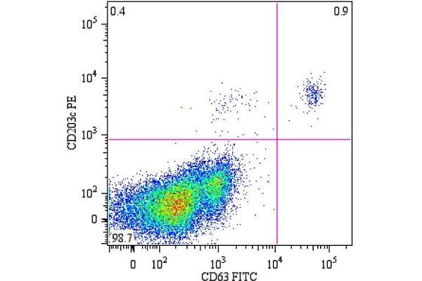 CD63 antibody