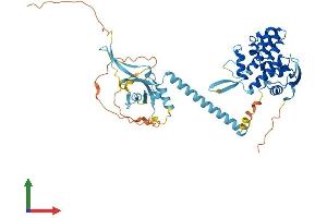 AlphaFold protein structure predicition of Mouse Recombinant Polr1e Protein, UniprotID Q8K202