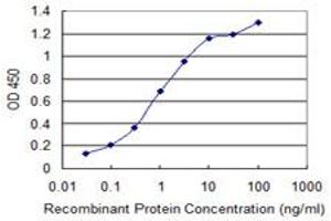 Detection limit for recombinant GST tagged PPFIBP2 is 0. (PPFIBP2 antibody  (AA 1-100))