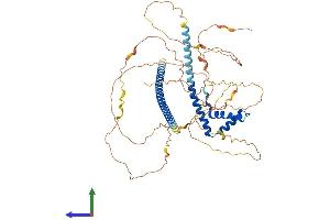 Protein Structure (PS) image for TOX High Mobility Group Box Family Member 3 (TOX3) (AA 1-575) protein (His tag) (ABIN7558374)