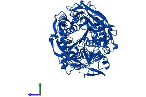 AlphaFold protein structure predicition of Human Recombinant PREP Protein, UniprotID P48147