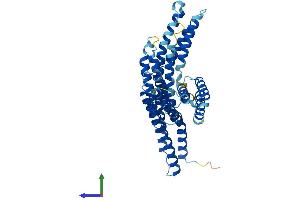 Protein Structure (PS) image for BCL2-Associated Athanogene 5 (BAG5) (AA 1-447) protein (His tag) (ABIN7559361)