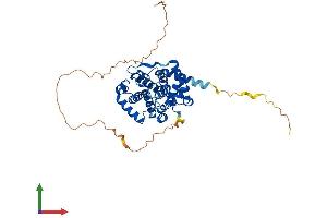 AlphaFold protein structure predicition of Mouse Recombinant Ccne1 Protein, UniprotID Q61457 (Cyclin E1 Protein (CCNE1) (AA 1-408) (His tag))
