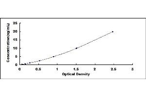 Prohibitin ELISA Kit