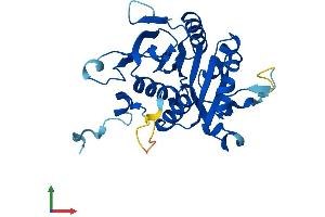 AlphaFold protein structure predicition of Mouse Recombinant Psmg2 Protein, UniprotID Q9EST4 (PSMG2 Protein (AA 1-264) (His tag))