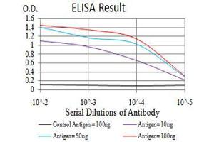 Black line: Control Antigen (100 ng),Purple line: Antigen (10 ng), Blue line: Antigen (50 ng), Red line:Antigen (100 ng) (AKT1 antibody  (AA 1-150))
