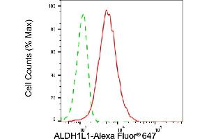 anti-Aldehyde Dehydrogenase 1 Family, Member L1 (ALDH1L1) antibody