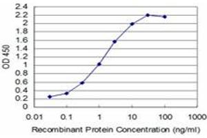 Detection limit for recombinant GST tagged T is approximately 0. (T Brachyury Protein (AA 222-320) antibody)