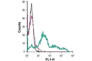 Cell surface detection of TrkB in live intact mouse TK-1 T-cell lymphoma cells: (black line) Cells.