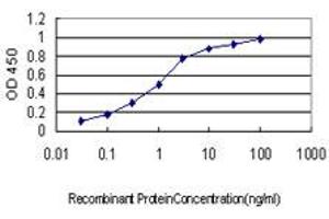 Detection limit for recombinant GST tagged ARID3A is approximately 0. (ARID3A antibody  (AA 317-416))