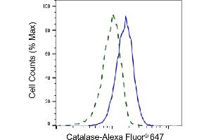 Validation of Catalase knockdown using flow cytometry. (Recombinant Catalase antibody)
