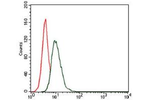 Flow Cytometry (FACS) image for anti-Heat Shock Protein 90kDa alpha (Cytosolic), Class A Member 1 (HSP90AA1) antibody (ABIN1843961)