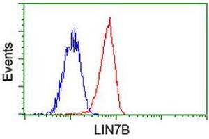 Flow cytometric Analysis of Jurkat cells, using anti-LIN7B antibody (ABIN2453233), (Red), compared to a nonspecific negative control antibody (ABIN2453233), (Blue).