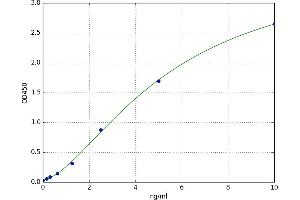 CD44 (CD44) ELISA Kit