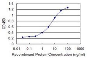 Detection limit for recombinant GST tagged FERMT1 is 0. (FERMT1 antibody  (AA 180-269))