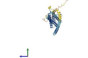 AlphaFold protein structure predicition of Human Recombinant STX4 Protein, UniprotID Q12846