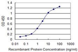 Detection limit for recombinant GST tagged PQBP1 is 0. (PQBP1 antibody  (AA 1-265))
