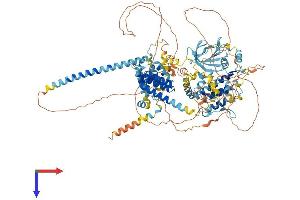AlphaFold protein structure predicition of Human Recombinant BUB1B Protein, UniprotID O60566 (BUB1B Protein (AA 1-1050) (His tag))