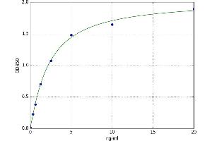A typical standard curve (SLC40A1 ELISA Kit)