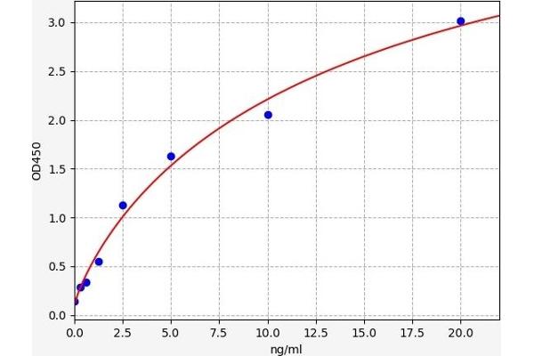 EPS8 ELISA Kit