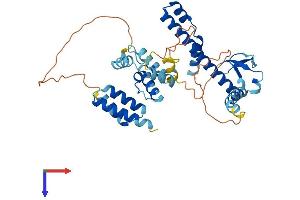DNAJB14 Protein (AA 1-379) (His tag)