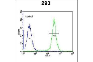 Flow cytometric analysis of 293 cells (right histogram) compared to a negative control cell (left histogram). (Gasdermin A antibody  (N-Term))