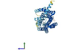 AlphaFold protein structure predicition of Human Recombinant OR1A1 Protein, UniprotID Q9P1Q5 (OR1A1 Protein (AA 1-309) (His tag))