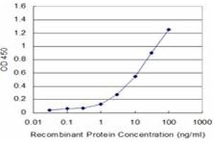 Detection limit for recombinant GST tagged PNMA2 is approximately 1ng/ml as a capture antibody. (PNMA2 antibody  (AA 1-364))