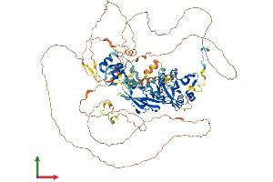 AlphaFold protein structure predicition of Mouse Recombinant Lpin3 Protein, UniprotID Q99PI4