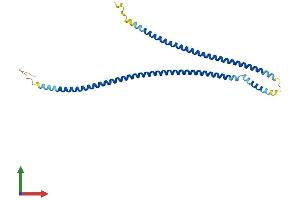 AlphaFold protein structure predicition of Mouse Recombinant Ccdc122 Protein, UniprotID Q8BVN0