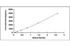 Growth Differentiation Factor 3 (GDF3) ELISA Kit
