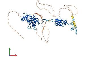 Protein Structure (PS) image for Early B-Cell Factor 4 (EBF4) (AA 1-602) protein (His tag) (ABIN7546706)