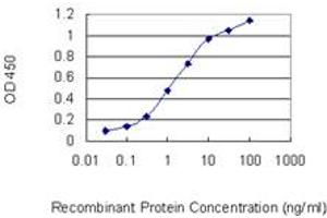 Detection limit for recombinant GST tagged PAX2 is 0. (PAX2A antibody  (AA 194-303))