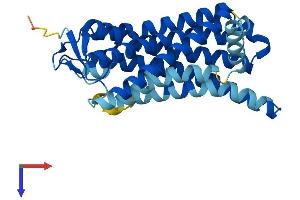 Olfactory Receptor, Family 6, Subfamily C, Member 4 (OR6C4) (AA 1-309) protein (His tag)