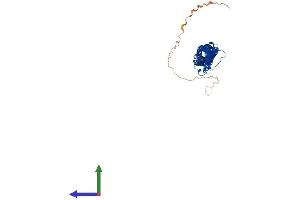 AlphaFold protein structure predicition of Mouse Recombinant Tekt3 Protein, UniprotID Q6X6Z7