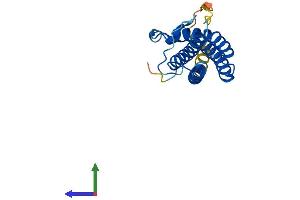 Protein Structure (PS) image for Cardiotrophin 1 (CTF1) (AA 1-201) protein (His tag) (ABIN7546865)