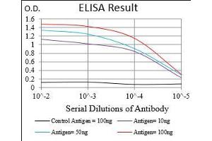 Black line: Control Antigen (100 ng), Purple line: Antigen(10 ng), Blue line: Antigen (50 ng), Red line: Antigen (100 ng), (CD93 antibody  (AA 474-535))
