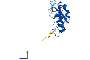 AlphaFold protein structure predicition of Mouse Recombinant Rpl32-ps Protein, UniprotID P17932 (RPL32-PS Protein (AA 1-135) (His tag))