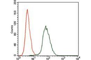 Flow cytometric analysis of HepG2 cells using CSNK2A2 mouse mAb (green) and negative control (red). (CSNK2A2 antibody  (AA 194-350))