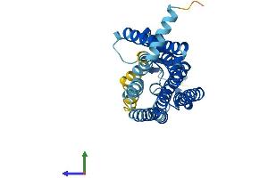 AlphaFold protein structure predicition of Human Recombinant OR10G4 Protein, UniprotID Q8NGN3 (OR10G4 Protein (AA 1-311) (His tag))