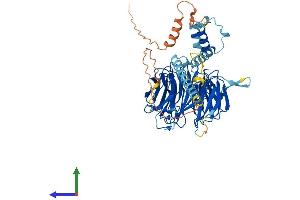 Protein Structure (PS) image for Transducin (Beta)-Like 1X-Linked (TBL1X) (AA 1-577) protein (His tag) (ABIN7544328)