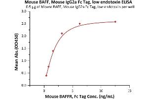 ELISA image for Tumor Necrosis Factor (Ligand) Superfamily, Member 13b (TNFSF13B) (AA 127-309) (Active) protein (Fc Tag) (ABIN6253646)