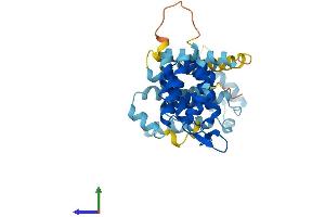 AlphaFold protein structure predicition of Mouse Recombinant Fancf Protein, UniprotID E9Q5Z5 (FANCF Protein (AA 1-343) (His tag))